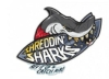 SHREDDIN' SHARKS