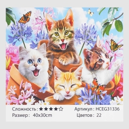 Картини за номерами 33402 "TK Group", "Котики на прогулянці", 40х30 см, в коробці