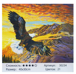 Картина за номерами 30234 (30) "TK Group", "Вільний орел", 40х30 см, у коробці