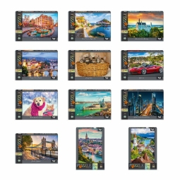 Пазли 500ел. C500-14-01 02 03...12 Danko Toys [Коробка]